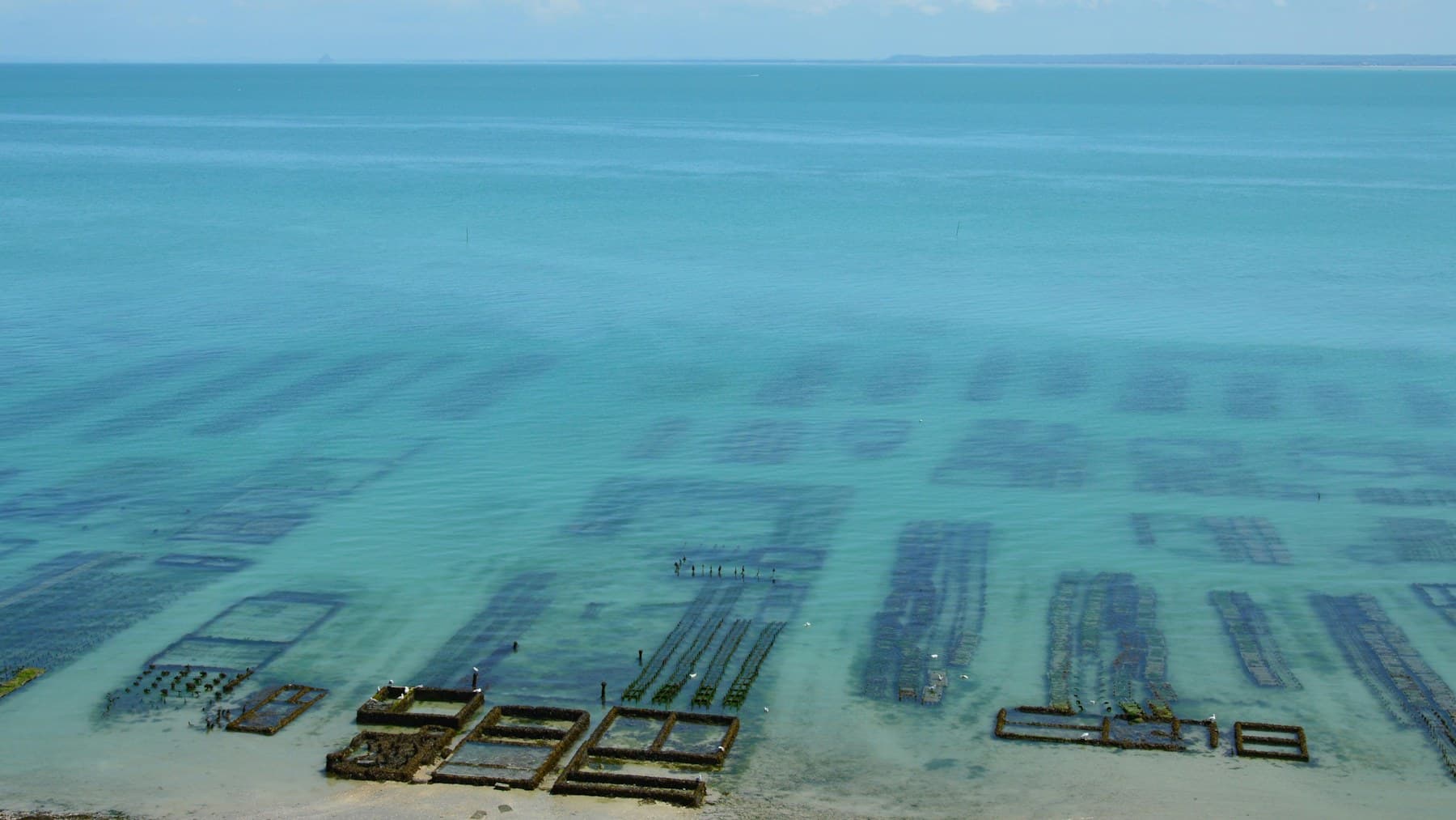 Clear blue aquaculture water with visible farm rows
