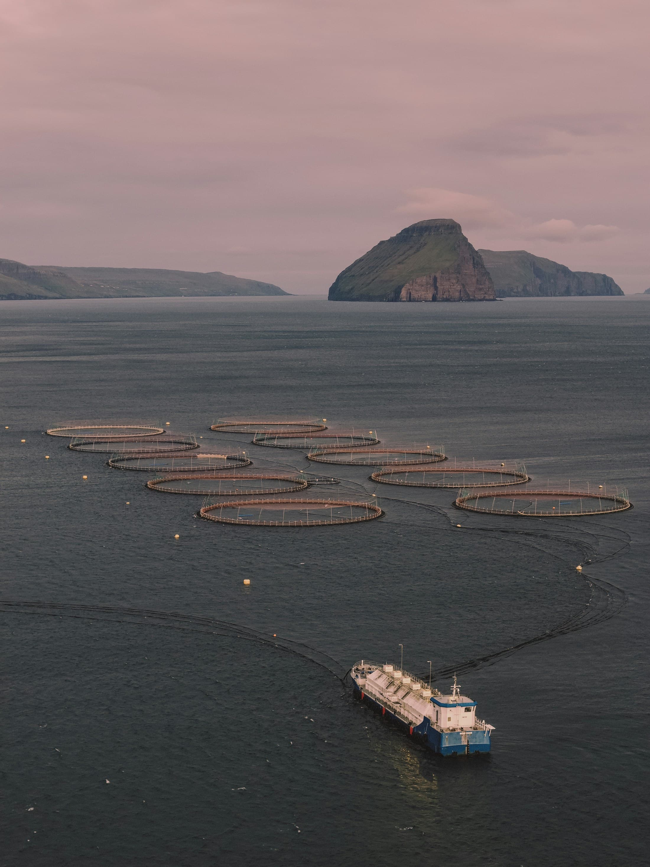 Offshore fish farm cages with a workboat and island in the background