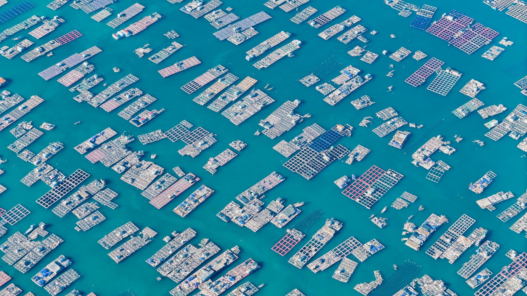 Extensive fish farm grid structures in deep blue water