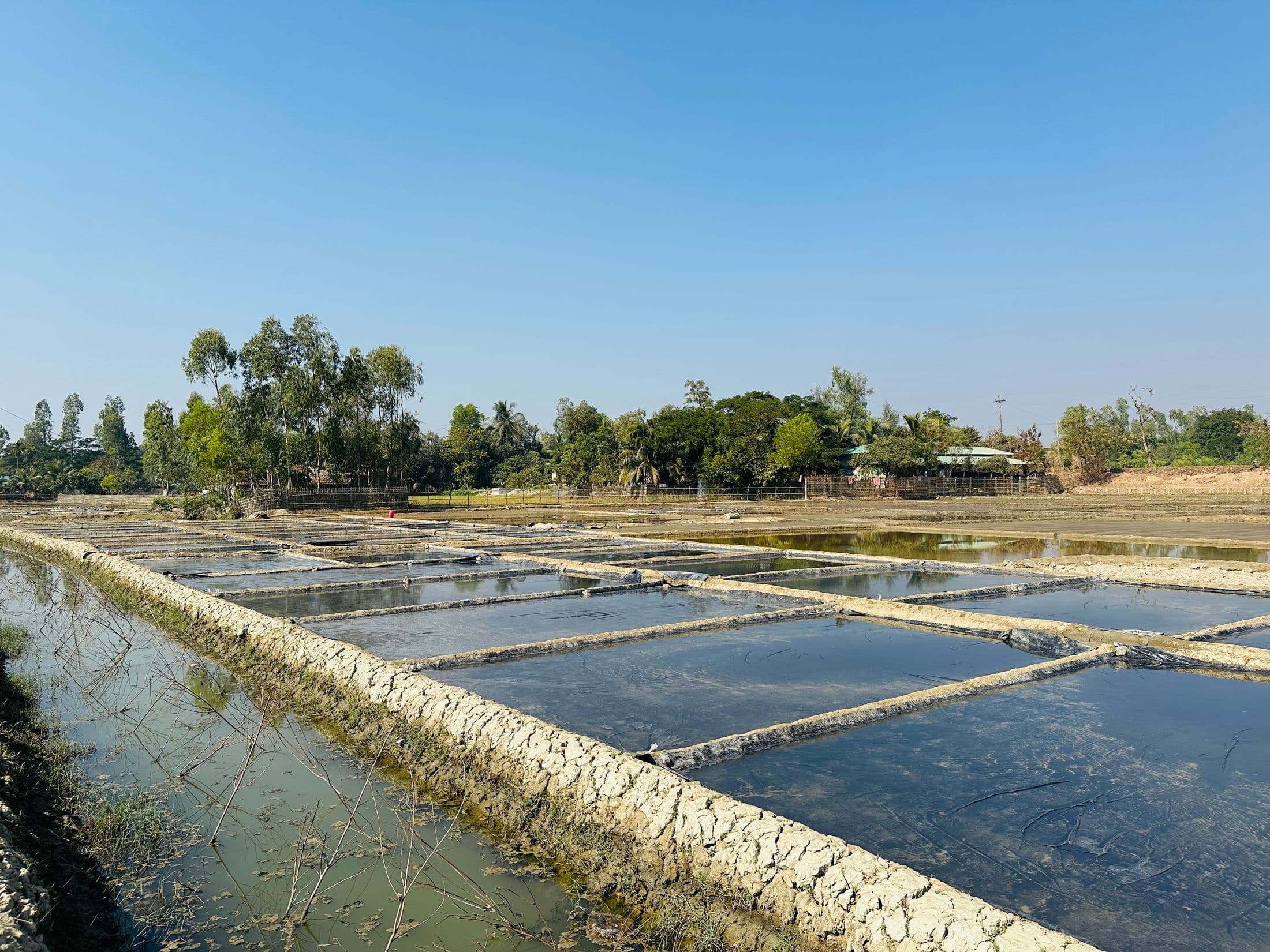 Rural aquaculture ponds under a clear blue sky